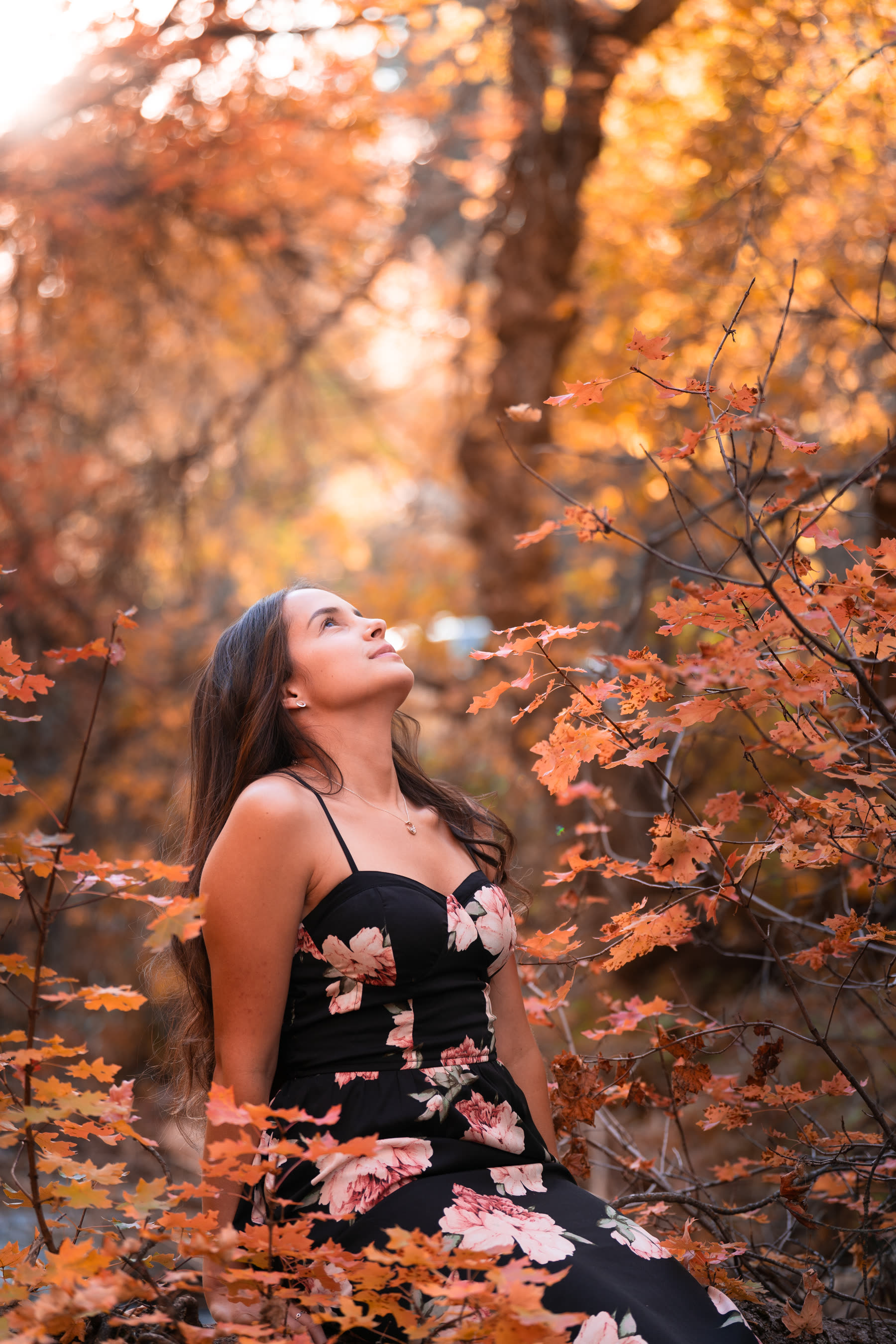 Portrait among the maples